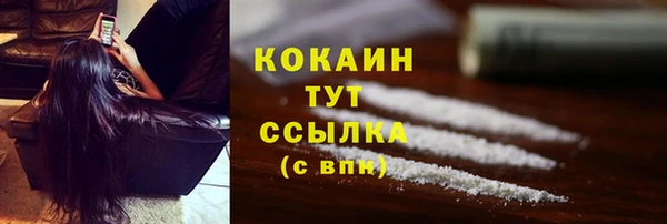 кокс Алексин