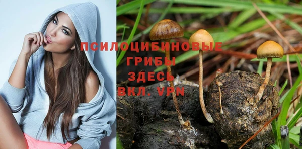 мяу мяу кристалл Алексеевка
